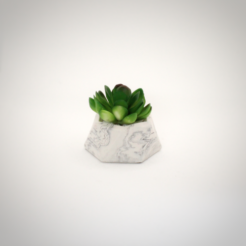 Hexagonal Mini Succulent Planter