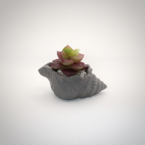 Conch Mini Succulent Planter